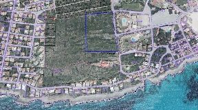 Huge rustic plot with 3,6 ha in Punta Prima